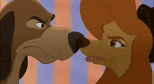 Dixie And Cash Fighting Fox And The Hound 2 GIF - Dixie And Cash Fighting Fox And The Hound 2 GIFs
