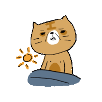 a cat with the letter i on its head