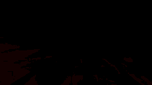 a person holding a rifle in a dark forest