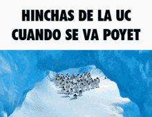 Poyet Universidad Catolica GIF - Poyet Universidad Catolica Hinchas De La Uc GIFs