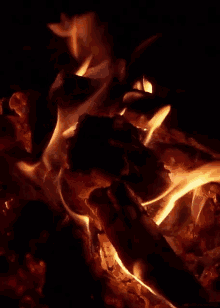 Fire From Http://Headlikeanorange.Tumblr.Com/ GIF - Fire Campfire GIFs