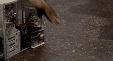 Starship Troopers Ferret GIF - Starship Troopers Ferret Climb Stairs GIFs