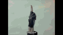 a group of people are standing next to each other with their arms in the air and a caption that says hidden wind
