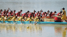 dragon boat row your boat comepetition