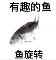 chinese fish