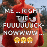 an angry bird says me right the fuuuuuuuck now wwww