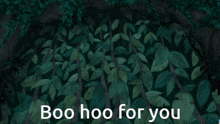 a picture of a gorilla with the words boo hoo for you on the bottom