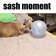 Sash Moment Sash GIF - Sash Moment Sash Slash Sash GIFs