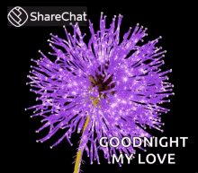 My Love Goodnight GIF - My Love Goodnight Sparkles GIFs