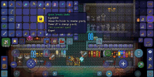 The Most Useless Item Of All Time In Terraria GIF - The Most Useless Item Of All Time In Terraria GIFs