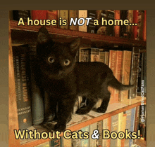 a cat standing on a bookshelf with a caption that says a house is not a home without cats & books