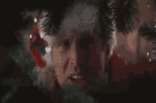 Chevy Chase GIF - Chevy Chase Christmas GIFs