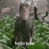Hello Luke GIF
