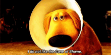 Doug Cone Of Shame GIF - Doug Cone Of Shame Dog GIFs