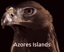 Azores Islands GIF - Azores Islands GIFs