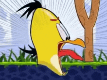 Yellow Penis Angry Birds GIF - Yellow Penis Angry Birds Scared GIFs