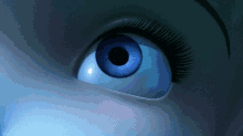 Eye Eyeball GIF - Eye Eyeball Eyeballs GIFs