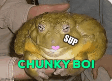 Sup Toad Sup GIF - Sup Toad Sup Toad GIFs