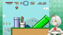 a video game with mario and yoshi on it and a girl in the background