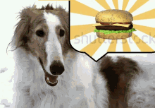 dog burger
