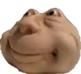 a close up of a frog 's face with a smile on it .
