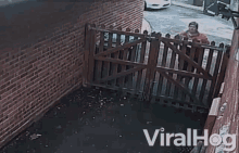 Delivery Its Here GIF - Delivery Its Here Over The Fence GIFs