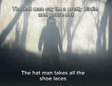 a silhouette of a person in the woods with the words " the hat man say im a pretty birdie and youre not "