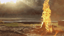 Flame Fire GIF - Flame Fire Outdoors GIFs