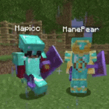 two minecraft characters are standing next to each other with the names mapico and manefear