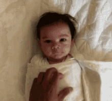 Surprise Baby Gif Baby Surprise Gif GIF