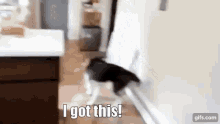 You Got This Gone To The Snow Dogs GIF - You Got This Gone To The Snow Dogs Husky GIFs