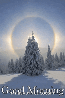 a picture of snow covered trees with the words good morning my beautiful cousin