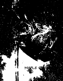 Bullet Mapleclub GIF - Bullet Mapleclub Club GIFs