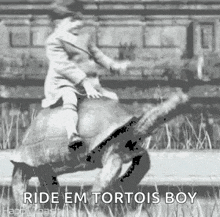 Turtle Ride GIF - Turtle Ride Riding GIFs