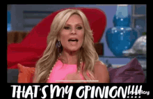 Thats My GIF - Thats My Opinion GIFs