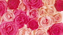 Valentine Valentines Day GIF - Valentine Valentines Day Roses GIFs