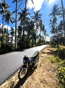 a motorcycle is parked on the side of the road with palm trees in the background
