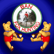 ban fox hunting ban fox chasing ban hunting fox control foxes
