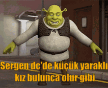 Sergen Shrek GIF