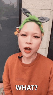 a woman with green hair wearing bunny ears and a butterfly headband says " what "