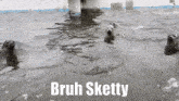 a group of seals are swimming in a pool with the words bruh sketty below them