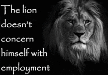 a black and white photo of a lion with the words " the lion doesn 't concern himself with employment " below it