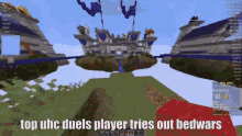 Uhc Duels Hypixel GIF - Uhc Duels Hypixel Bedwars GIFs