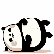 because baby animals cute adorable panda drool
