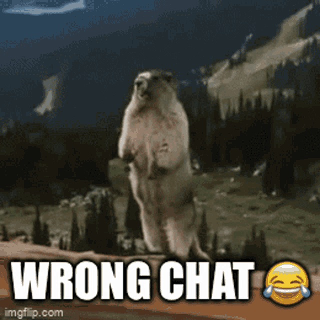 Wrong Chat