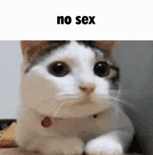 No Sex GIF