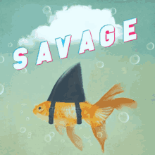 savage shark