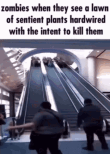 zombies when they see a lawn of sentient plants hardwired with the intent to kill them .
