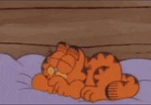 a cartoon of garfield laying on a bed with the word goo written on the bottom