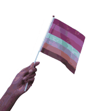 halive2022 pride flags pride flag world pride day